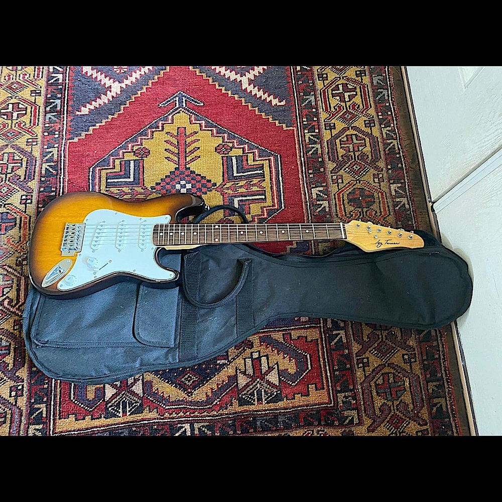 JayTurser Electric Guitar